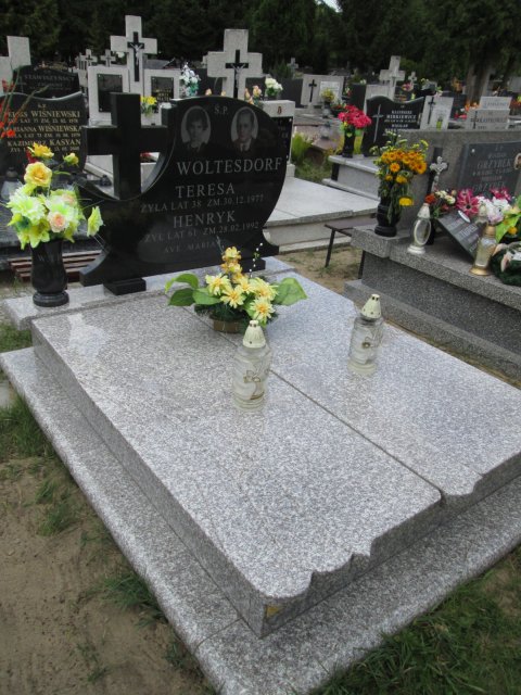 Grób HENRYK JANUSZ WOLTESDORF