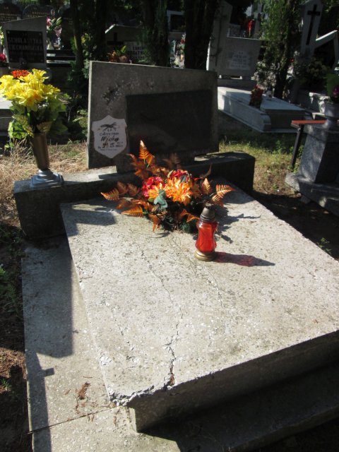 Władysław WICHA 1898 Włocławek 0965 - Grobonet - Wyszukiwarka osób pochowanych