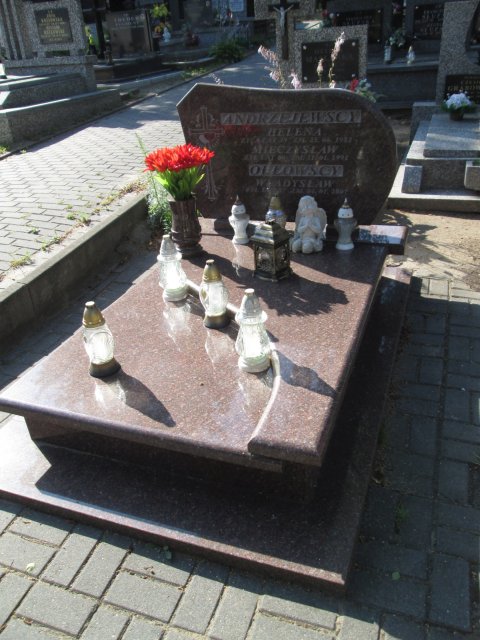 Władysław Bronisław ORŁOWSKI 1950 Włocławek 0965 - Grobonet - Wyszukiwarka osób pochowanych