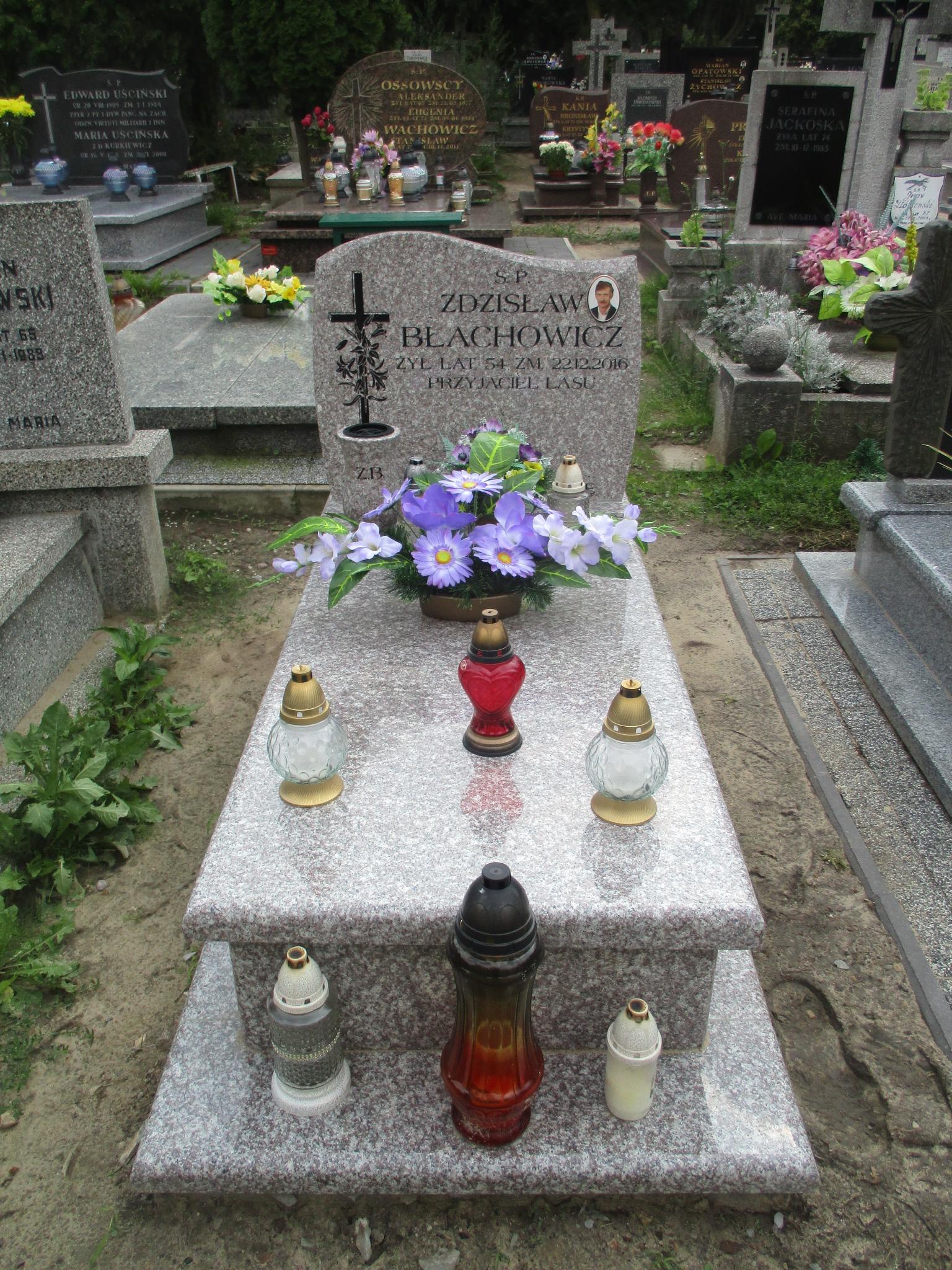 Zdzisław BŁACHOWICZ 1962 Włocławek 0965 - Grobonet - Wyszukiwarka osób pochowanych