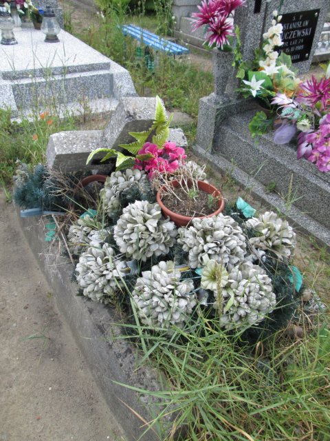 Kazimierz MASŁOWSKI 1942 Włocławek 0965 - Grobonet - Wyszukiwarka osób pochowanych