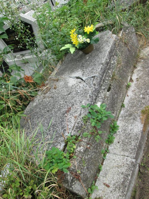 Jan BLUGE 1871 Włocławek 0965 - Grobonet - Wyszukiwarka osób pochowanych