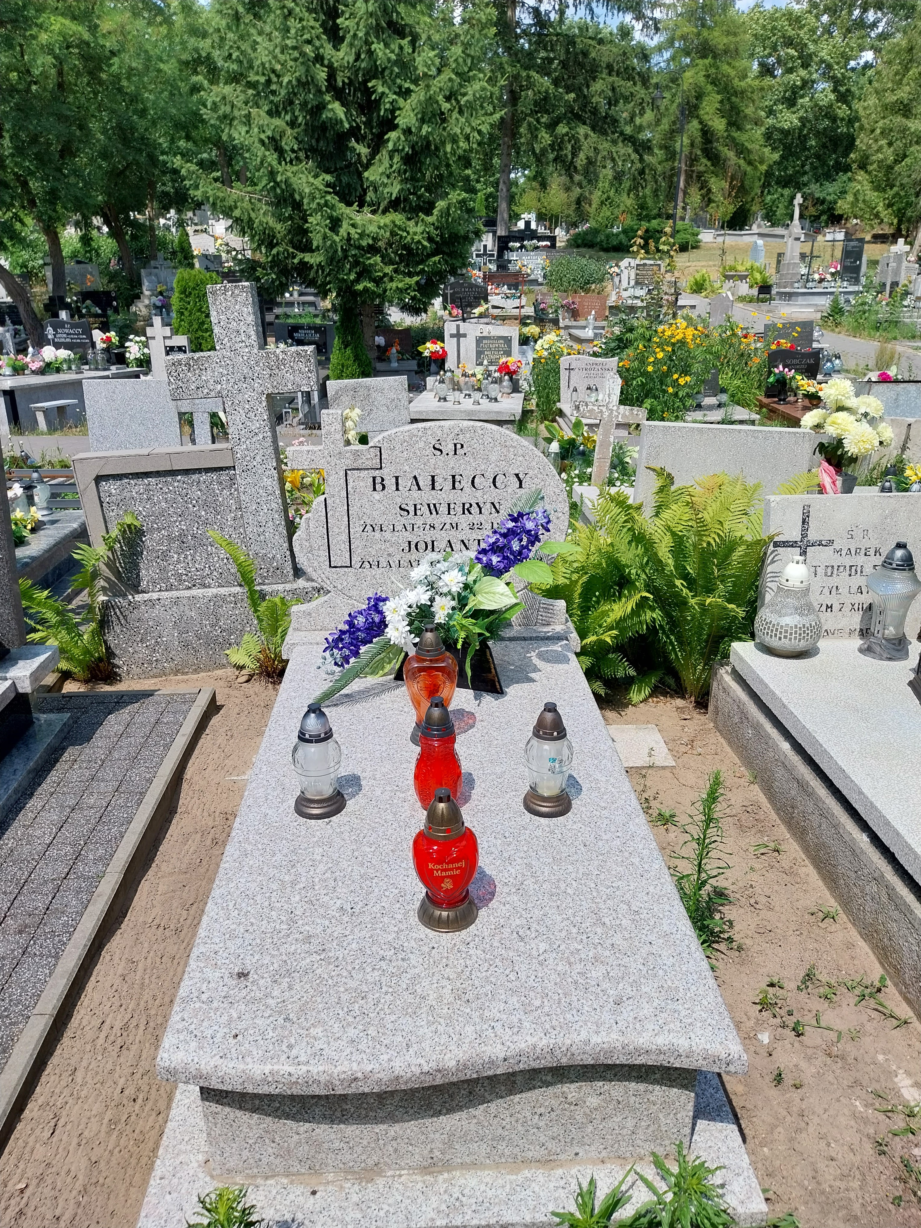 Seweryn Marian BIAŁECKI 1911 Włocławek 0965 - Grobonet - Wyszukiwarka osób pochowanych