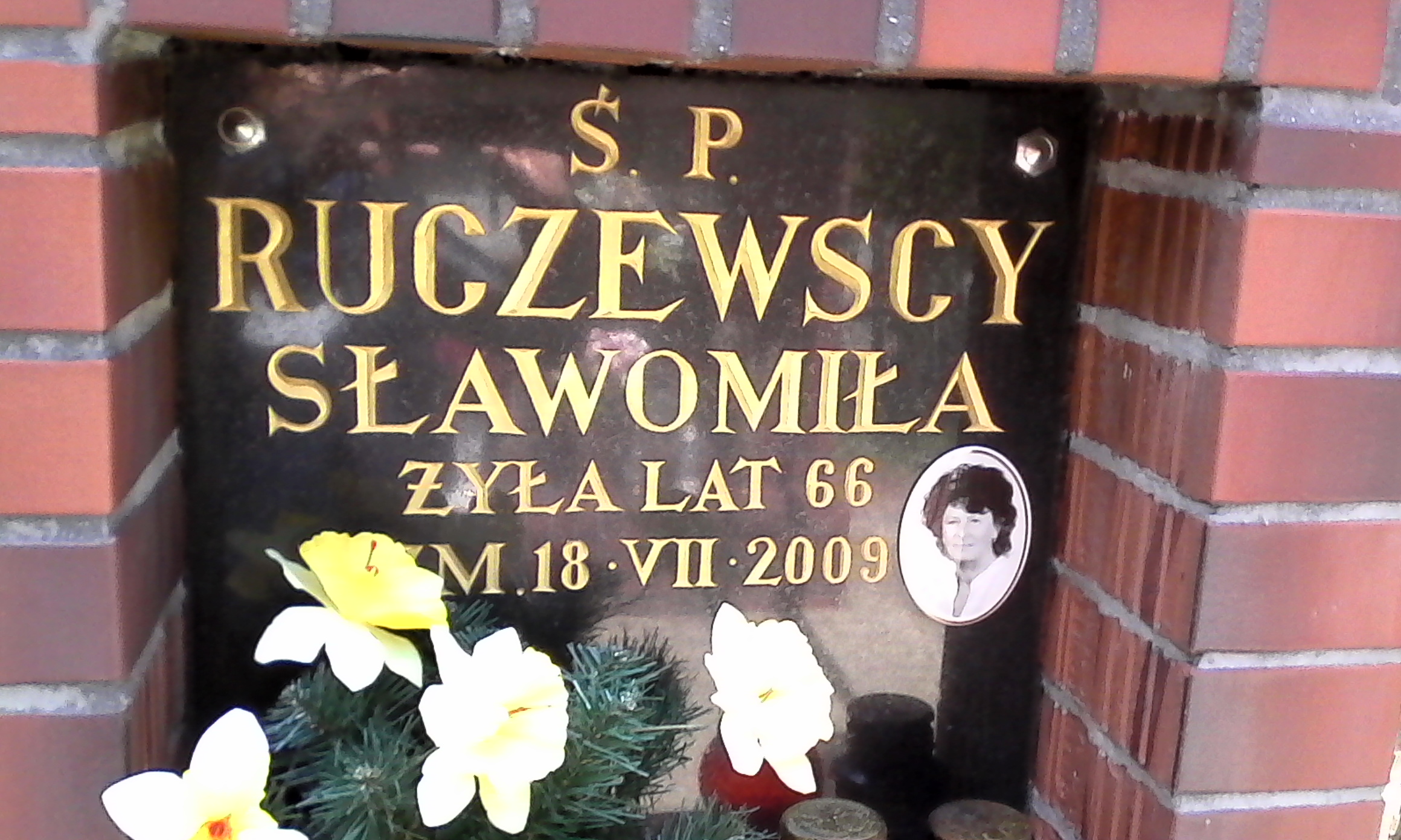 Mieczysław RUCZEWSKI 1949 Włocławek 0965 - Grobonet - Wyszukiwarka osób pochowanych