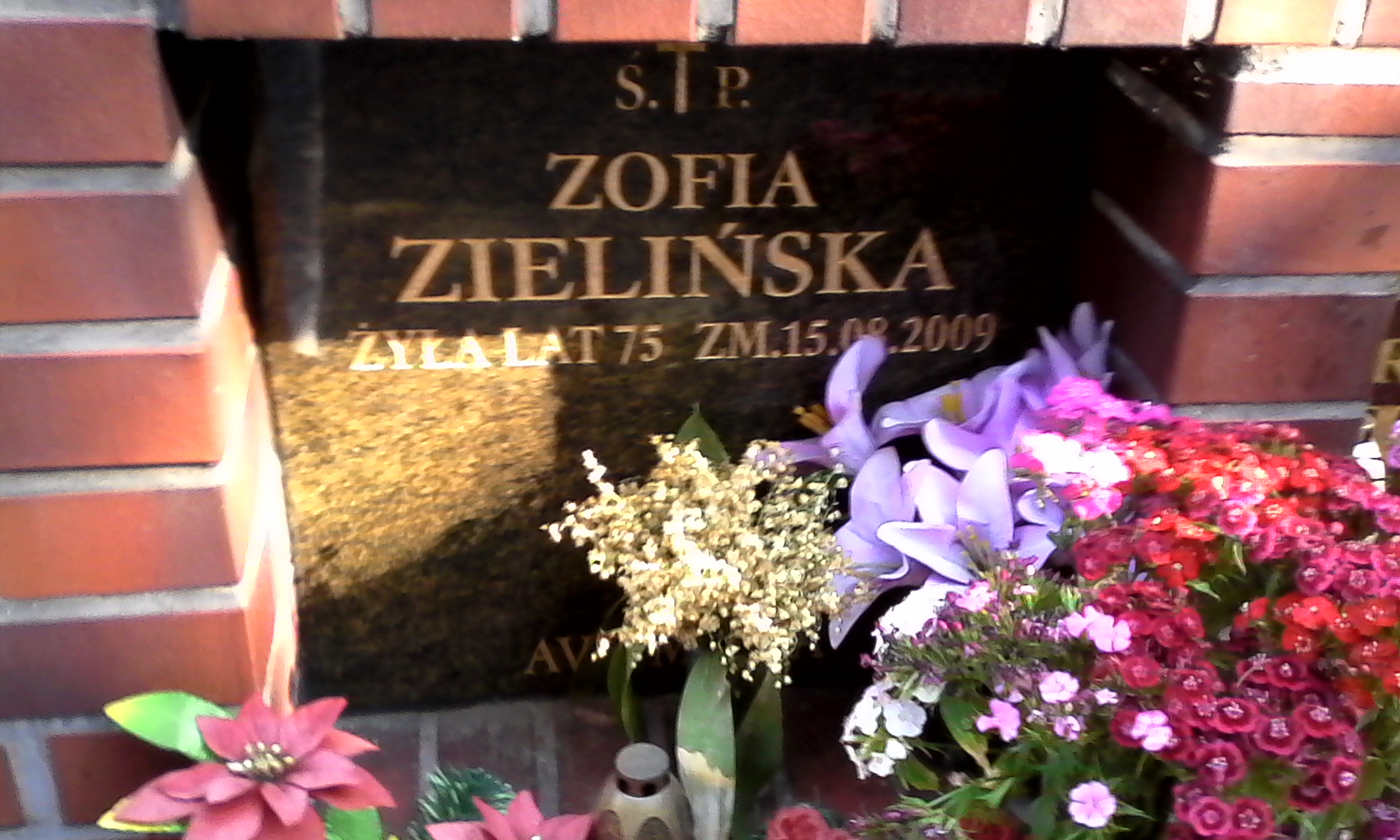 Zofia Teresa ZIELIŃSKA 1934 Włocławek 0965 - Grobonet - Wyszukiwarka osób pochowanych