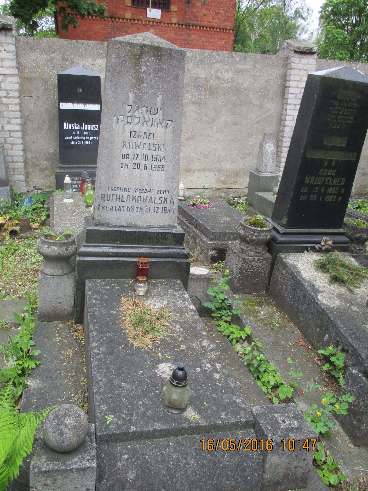 RACHLA KOWALSKA 1918 Włocławek 0965 - Grobonet - Wyszukiwarka osób pochowanych