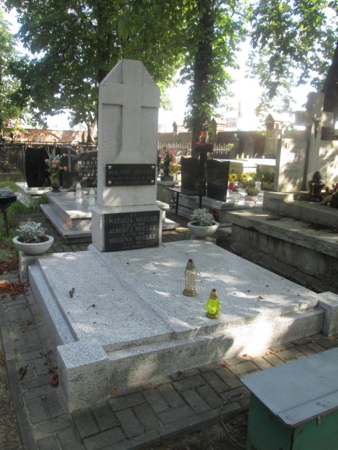 J.ALBERT MIELKE 1899 Włocławek 0965 - Grobonet - Wyszukiwarka osób pochowanych