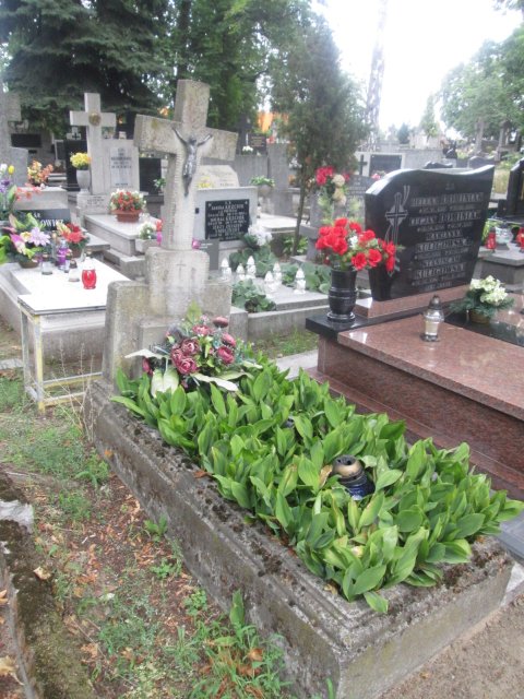 Józef CZAJKOWSKI 1885 Włocławek 0965 - Grobonet - Wyszukiwarka osób pochowanych