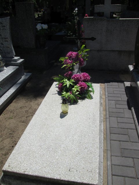 Cecylia KLEJN 1881 Włocławek 0965 - Grobonet - Wyszukiwarka osób pochowanych