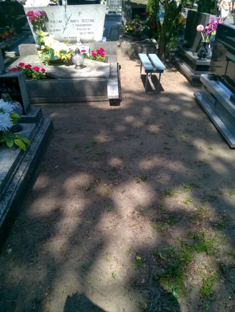 Marianna PEPLAU 1875 Włocławek 0965 - Grobonet - Wyszukiwarka osób pochowanych