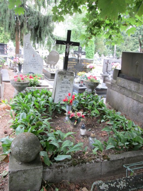 Jan ZGODZIŃSKI 1876 Włocławek 0965 - Grobonet - Wyszukiwarka osób pochowanych