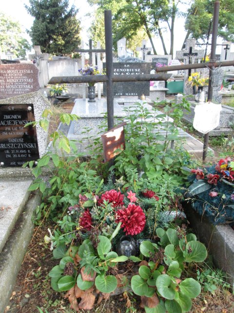 Lidia MUSZYŃSKA 1899 Włocławek 0965 - Grobonet - Wyszukiwarka osób pochowanych