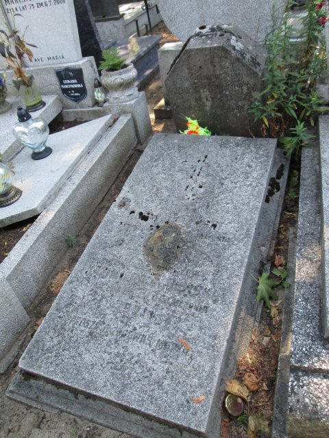 Adam GAJEWSKI Włocławek 0965 - Grobonet - Wyszukiwarka osób pochowanych