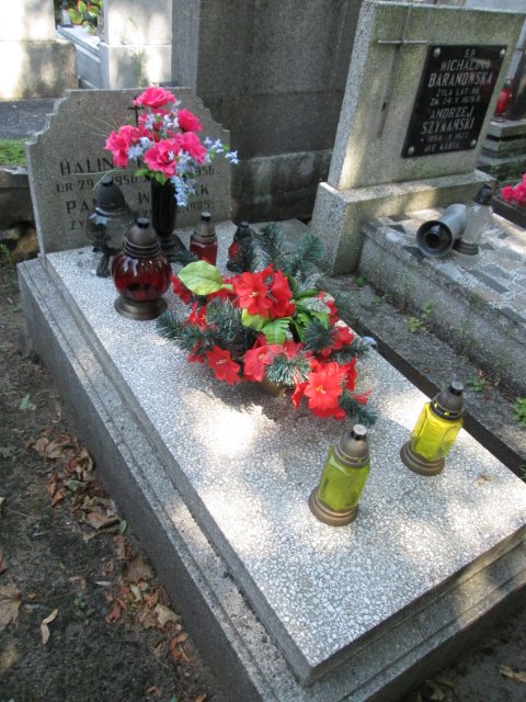 Halina WOŹNIAK 1950 Włocławek 0965 - Grobonet - Wyszukiwarka osób pochowanych