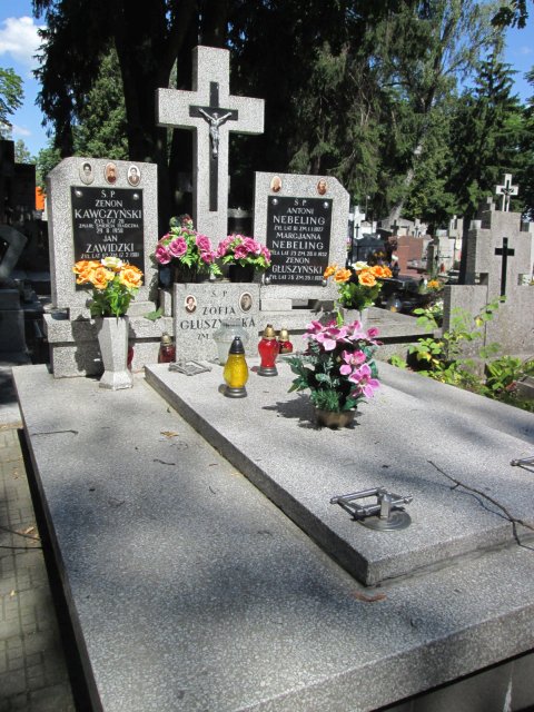 Jan NEBELING 1962 Włocławek 0965 - Grobonet - Wyszukiwarka osób pochowanych