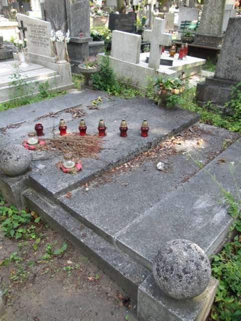 Wojciech SKIERMAŃSKI 1878 Włocławek 0965 - Grobonet - Wyszukiwarka osób pochowanych