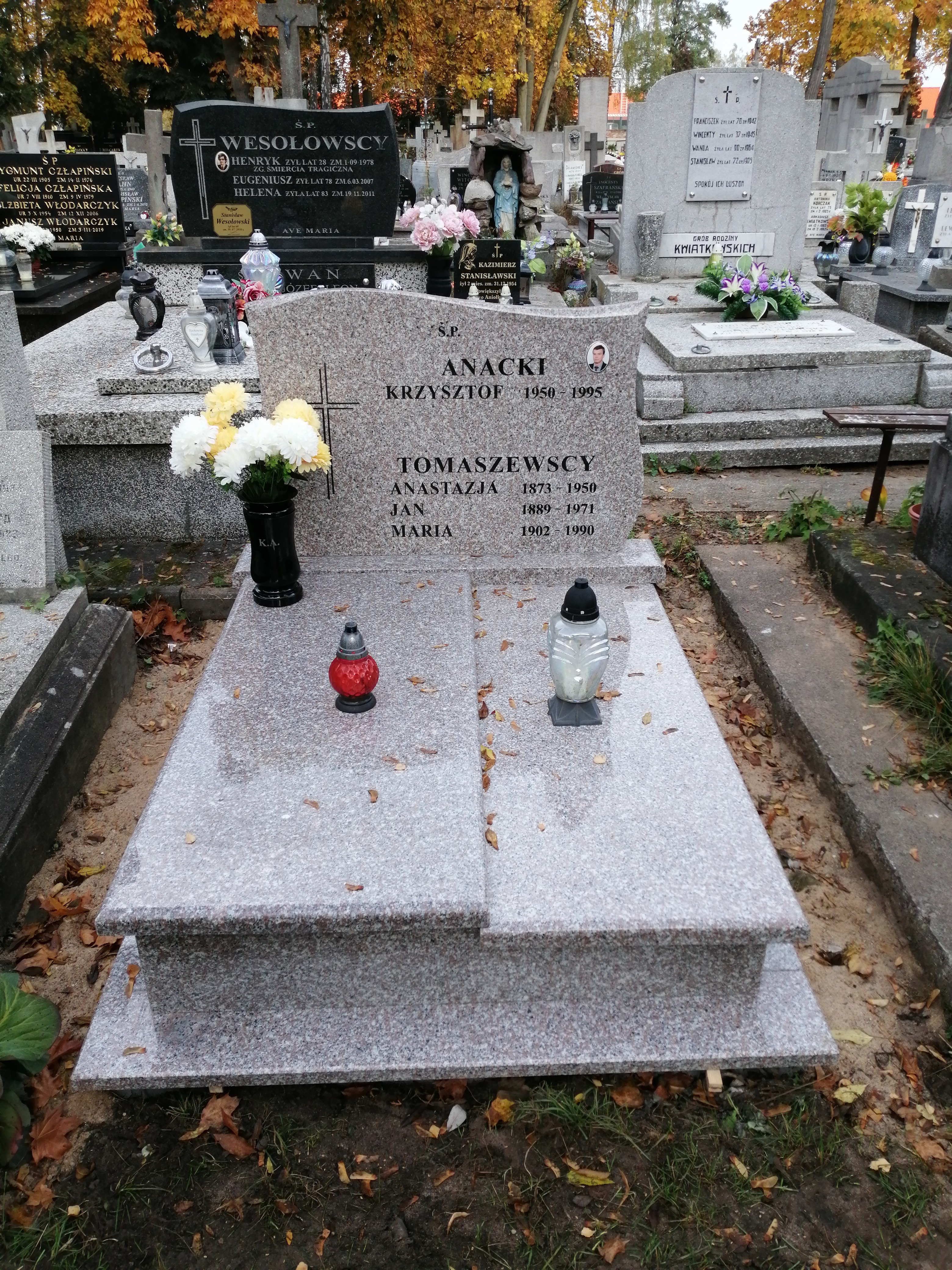 Anastazja TOMASZEWSKA 1873 Włocławek 0965 - Grobonet - Wyszukiwarka osób pochowanych