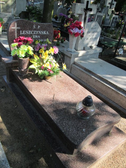 Mieczysław RAUS 1950 Włocławek 0965 - Grobonet - Wyszukiwarka osób pochowanych