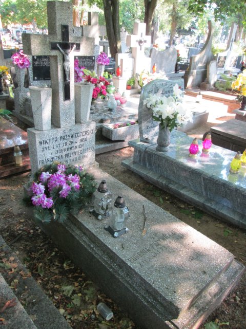 Franciszka PRZYWIECZERSKA 1883 Włocławek 0965 - Grobonet - Wyszukiwarka osób pochowanych