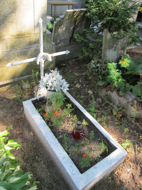 Waldemar ŚNIEGOSKI 1955 Włocławek 0965 - Grobonet - Wyszukiwarka osób pochowanych