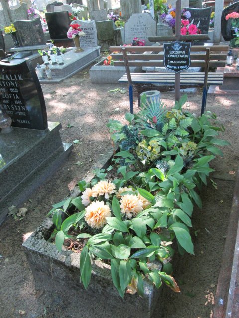 Szczepan LEWANDOWSKI 1886 Włocławek 0965 - Grobonet - Wyszukiwarka osób pochowanych