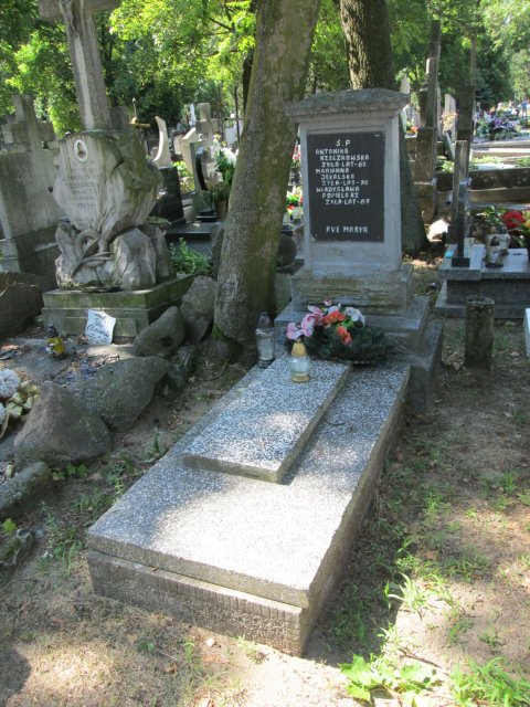 Stefan JĄKALSKI 1881 Włocławek 0965 - Grobonet - Wyszukiwarka osób pochowanych