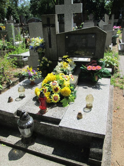 Wojciech ZIÓŁKOWSKI 1876 Włocławek 0965 - Grobonet - Wyszukiwarka osób pochowanych