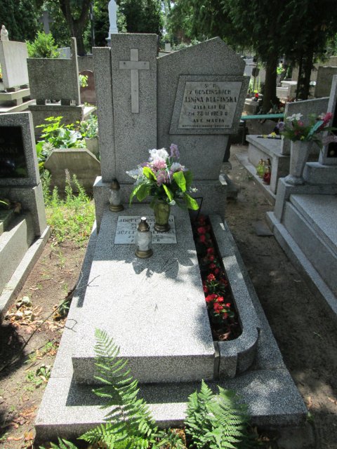 Józefa GOŚCIŃSKA 1867 Włocławek 0965 - Grobonet - Wyszukiwarka osób pochowanych