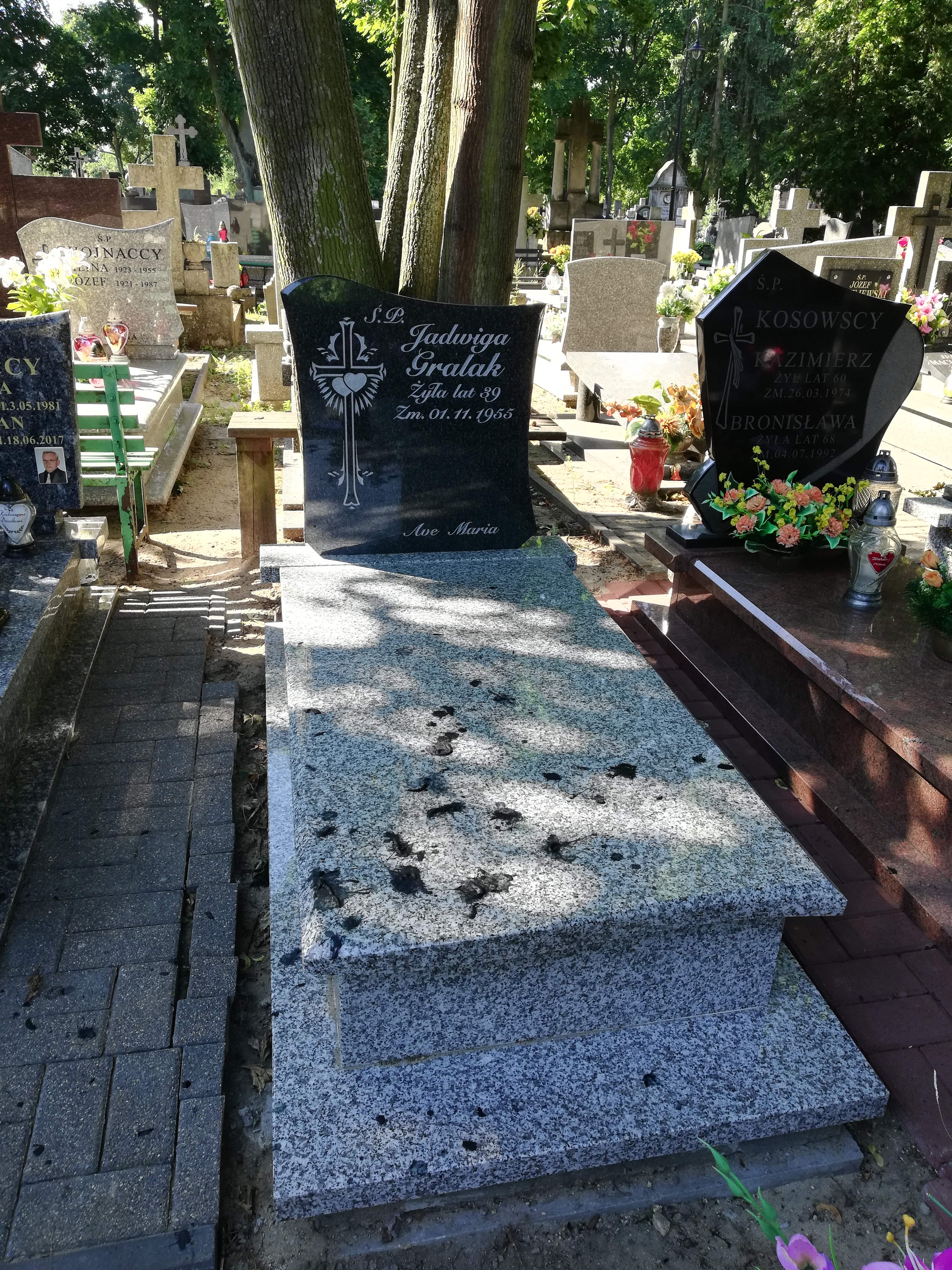 Jadwiga GRALAK 1916 Włocławek 0965 - Grobonet - Wyszukiwarka osób pochowanych