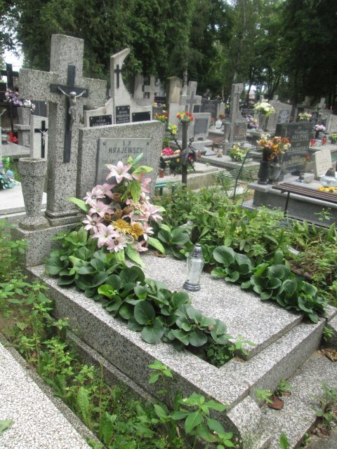 Leszek KRAJEWSKI 1954 Włocławek 0965 - Grobonet - Wyszukiwarka osób pochowanych