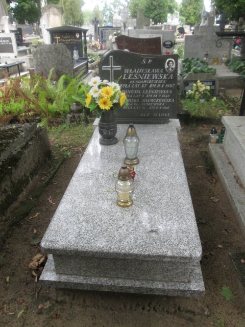 Dionizy Leśniewski 1937 Włocławek 0965 - Grobonet - Wyszukiwarka osób pochowanych
