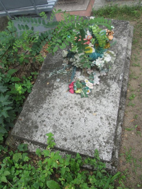 Bronisław HEJMAN 1899 Włocławek 0965 - Grobonet - Wyszukiwarka osób pochowanych