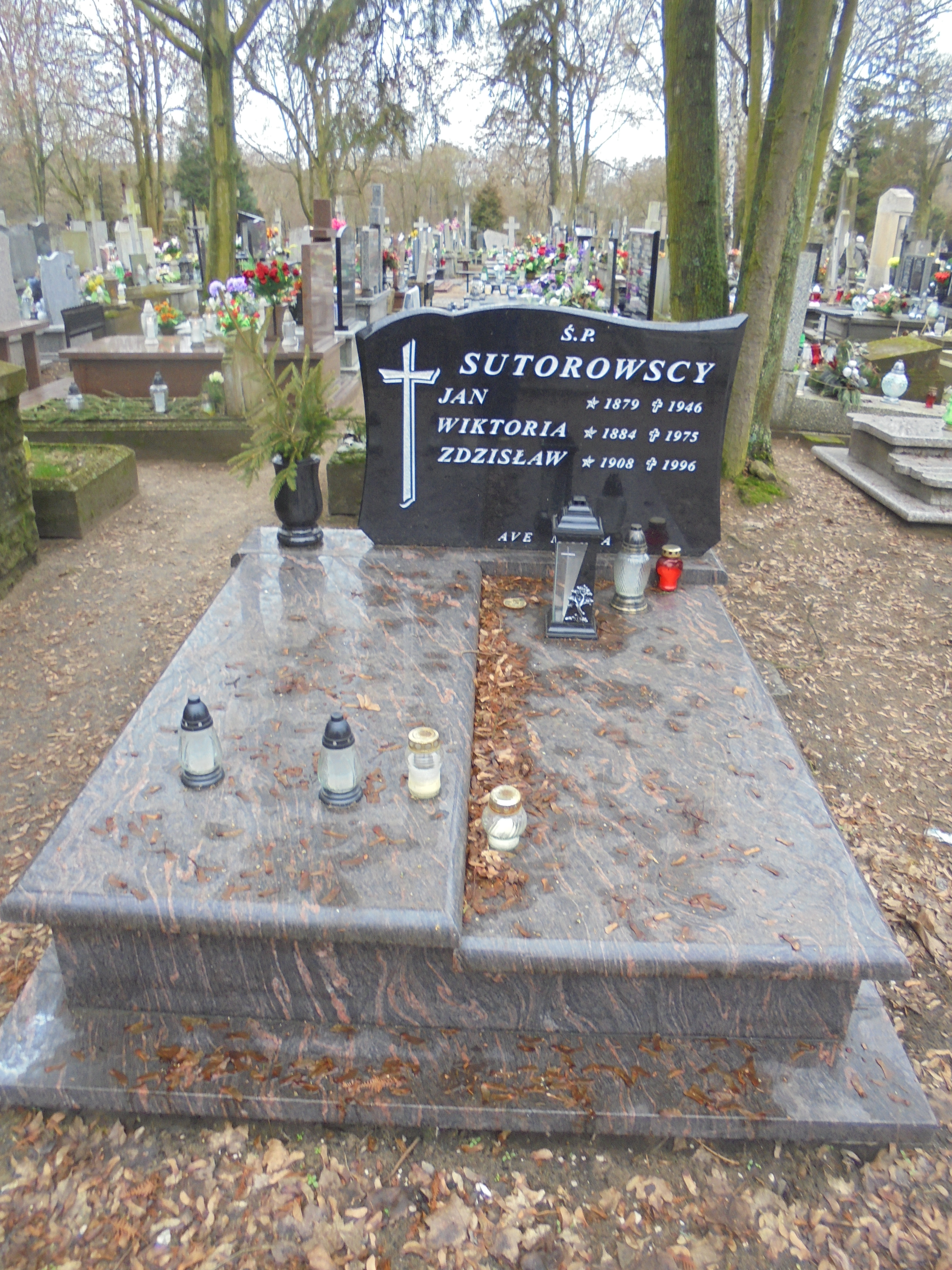 Wiktoria SUTOROWSKA 1884 Włocławek 0965 - Grobonet - Wyszukiwarka osób pochowanych