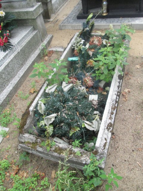 DONATA EWELINA DEGÓRSKA 1914 Włocławek 0965 - Grobonet - Wyszukiwarka osób pochowanych