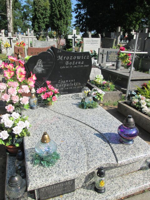 Zygmunt MROZOWICZ 1950 Włocławek 0965 - Grobonet - Wyszukiwarka osób pochowanych