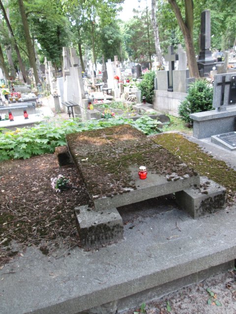 Emilia ROKICKA 1874 Włocławek 0965 - Grobonet - Wyszukiwarka osób pochowanych