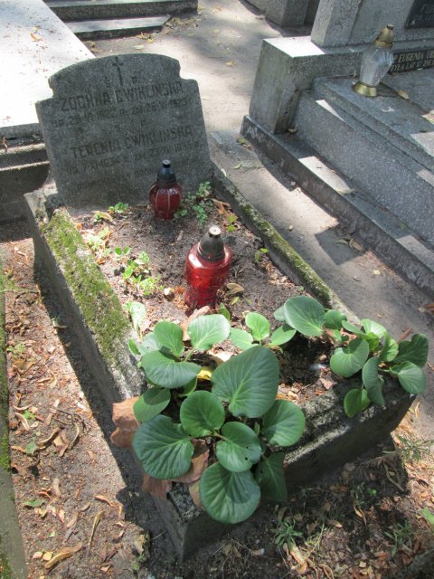 Teresa ĆWIKLIŃSKA 1899 Włocławek 0965 - Grobonet - Wyszukiwarka osób pochowanych