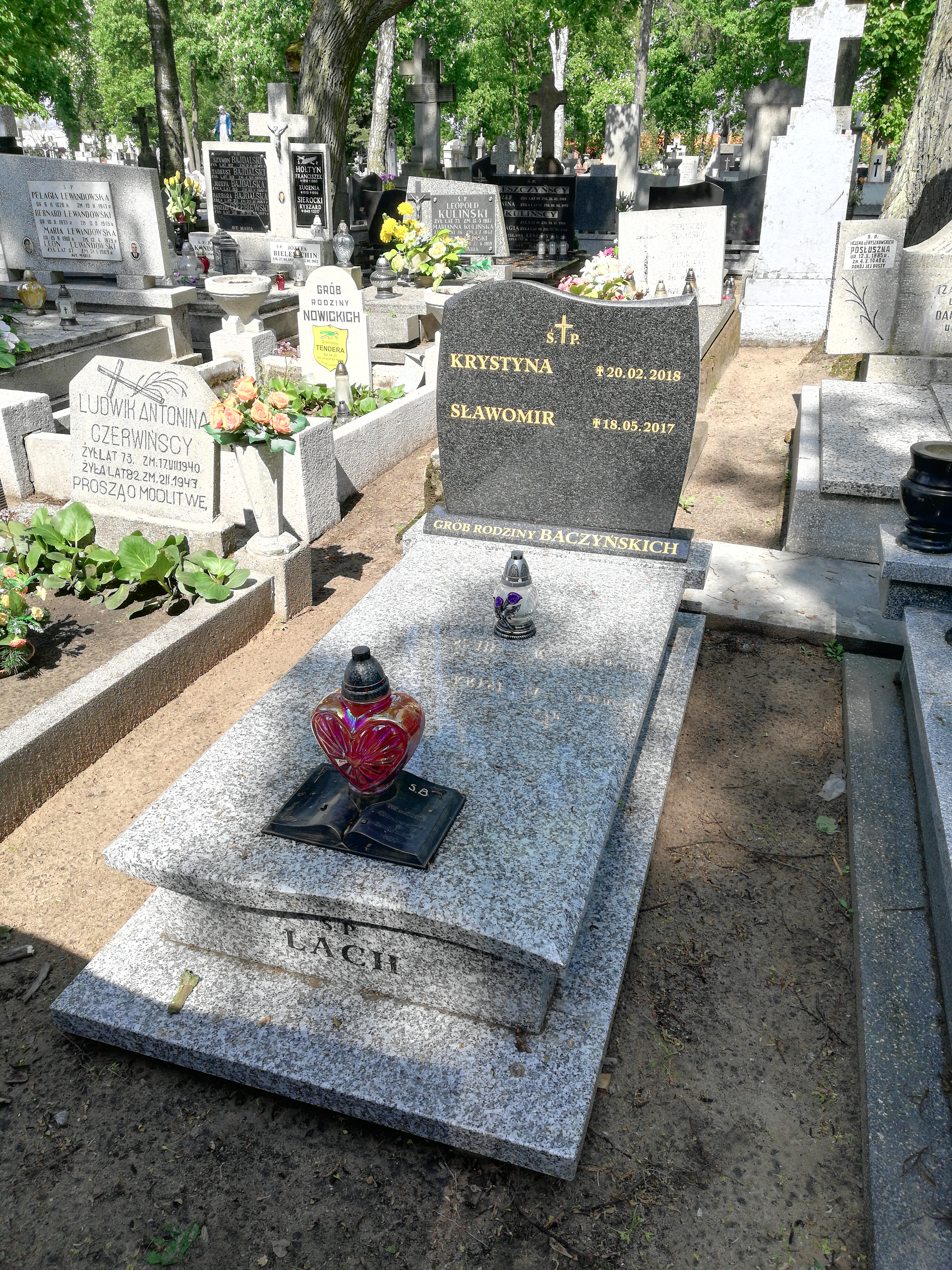 Sławomir BACZYŃSKI 1961 Włocławek 0965 - Grobonet - Wyszukiwarka osób pochowanych