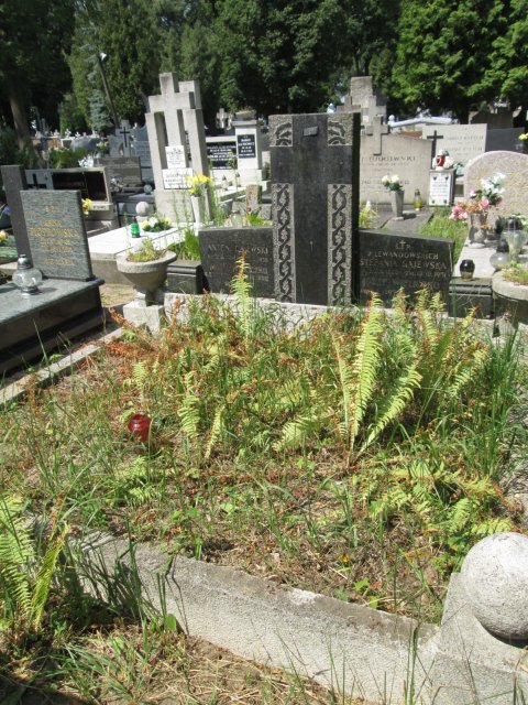 Maria WIELICZKO 1906 Włocławek 0965 - Grobonet - Wyszukiwarka osób pochowanych