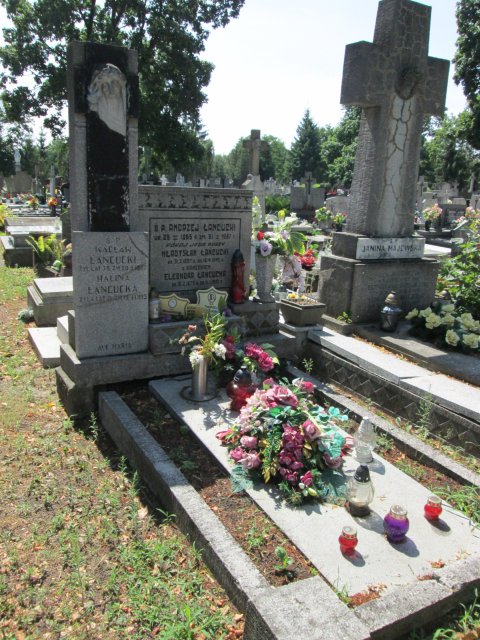 Andrzej ŁAŃCUCKI 1899 Włocławek 0965 - Grobonet - Wyszukiwarka osób pochowanych