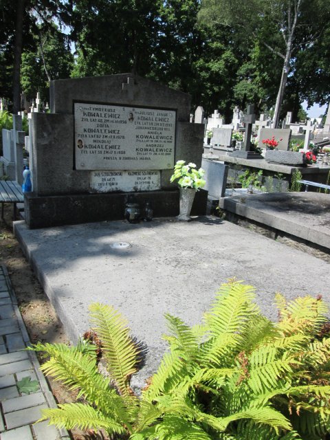 Kazimierz SZATKOWSKI 1876 Włocławek 0965 - Grobonet - Wyszukiwarka osób pochowanych