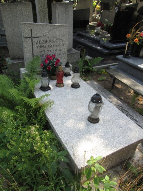 Władysław ZDZIENNICKI 1958 Włocławek 0965 - Grobonet - Wyszukiwarka osób pochowanych