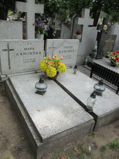 Maria DAMIĘCKA 1896 Włocławek 0965 - Grobonet - Wyszukiwarka osób pochowanych