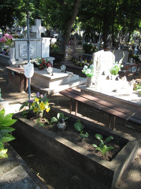 Wojciech RAJ 1899 Włocławek 0965 - Grobonet - Wyszukiwarka osób pochowanych