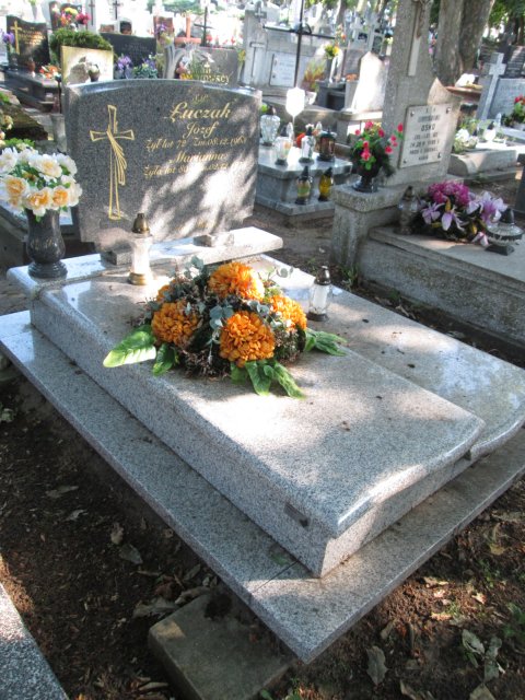 Józef ŁUCZAK 1891 Włocławek 0965 - Grobonet - Wyszukiwarka osób pochowanych