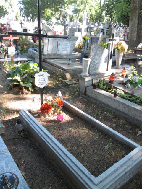 Józefa KWIATKOWSKA 1884 Włocławek 0965 - Grobonet - Wyszukiwarka osób pochowanych