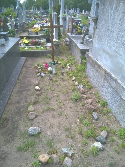 PŁODÓW MARTWO URODZONYCH 13 1899 Włocławek 0965 - Grobonet - Wyszukiwarka osób pochowanych