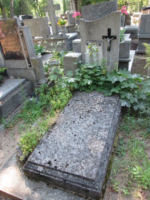 Barbara PŁONKA 1872 Włocławek 0965 - Grobonet - Wyszukiwarka osób pochowanych