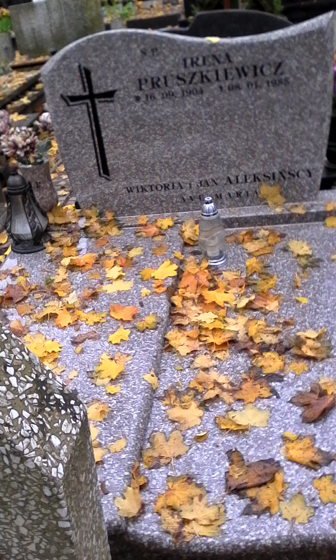 Wiktoria ALEKSIŃSKA 1899 Włocławek 0965 - Grobonet - Wyszukiwarka osób pochowanych