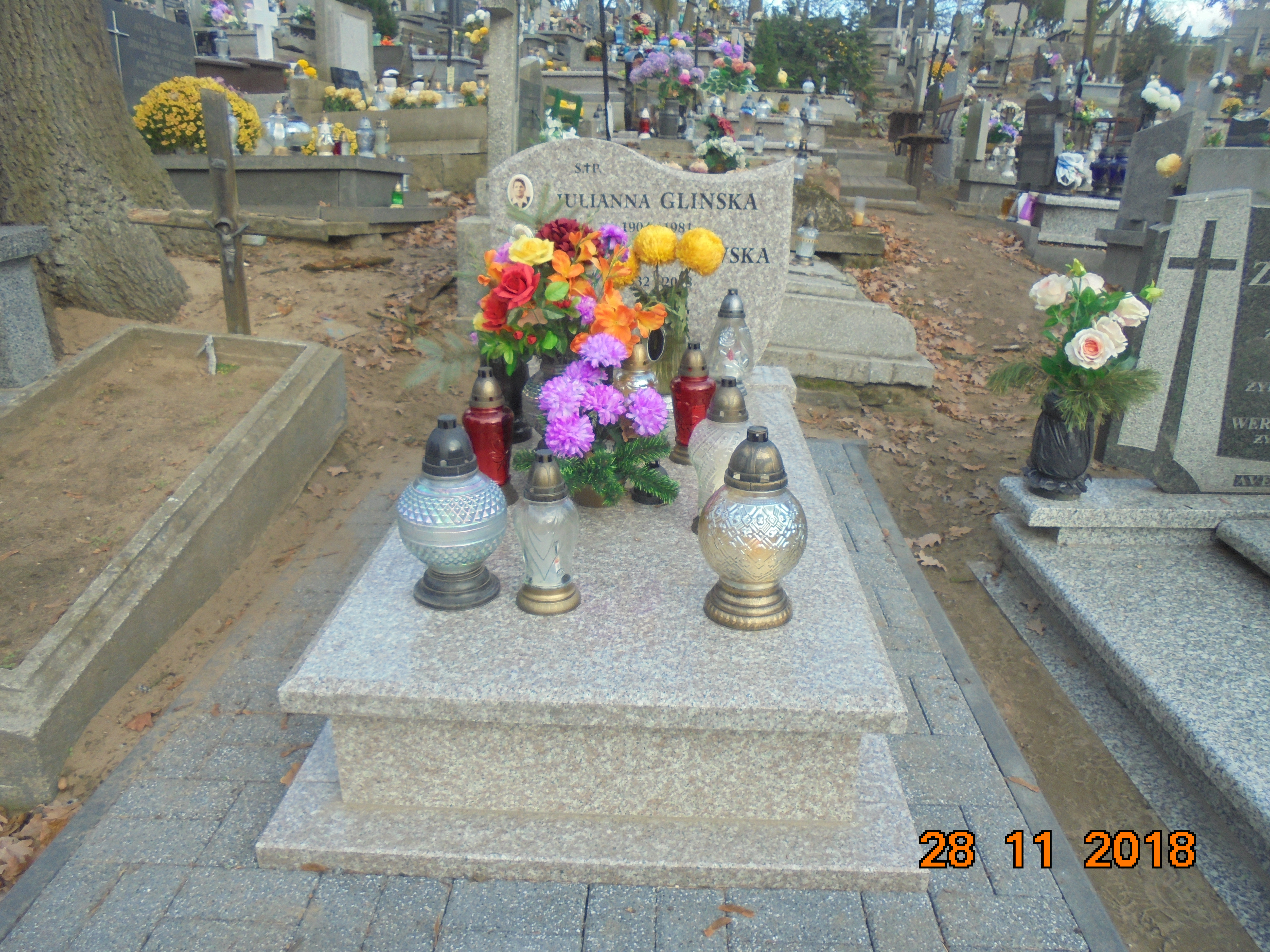 Tadeusz WĄSIKIEWICZ  1956 Włocławek 0965 - Grobonet - Wyszukiwarka osób pochowanych